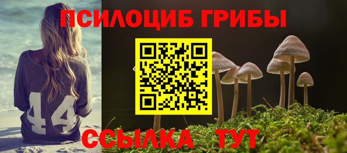 Жигулёвск  Галлюциногенные грибы Magic Shrooms  Вход с VPN 