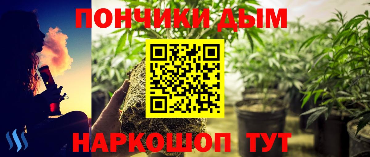 Бошки Шишки VHQ Жигулёвск